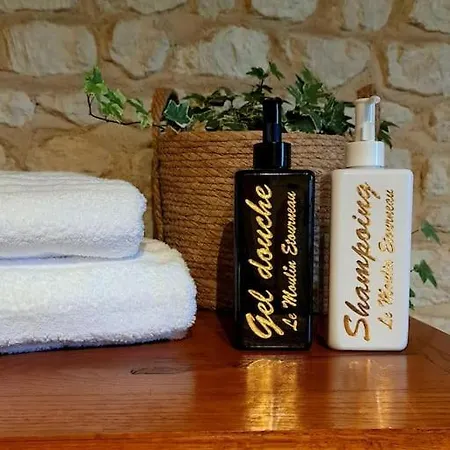 Insolite Dans Un Moulin A Eau Avec Privatif 度假居 Champagnac (Charente-Maritime)